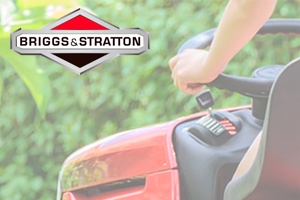 Briggs & Stratton Find Nummer & Modell